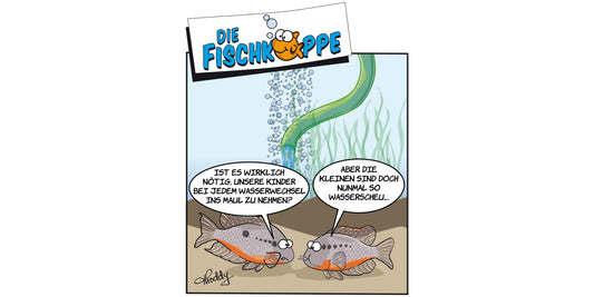 Die Fischköppe aus aquaristik 2/2021