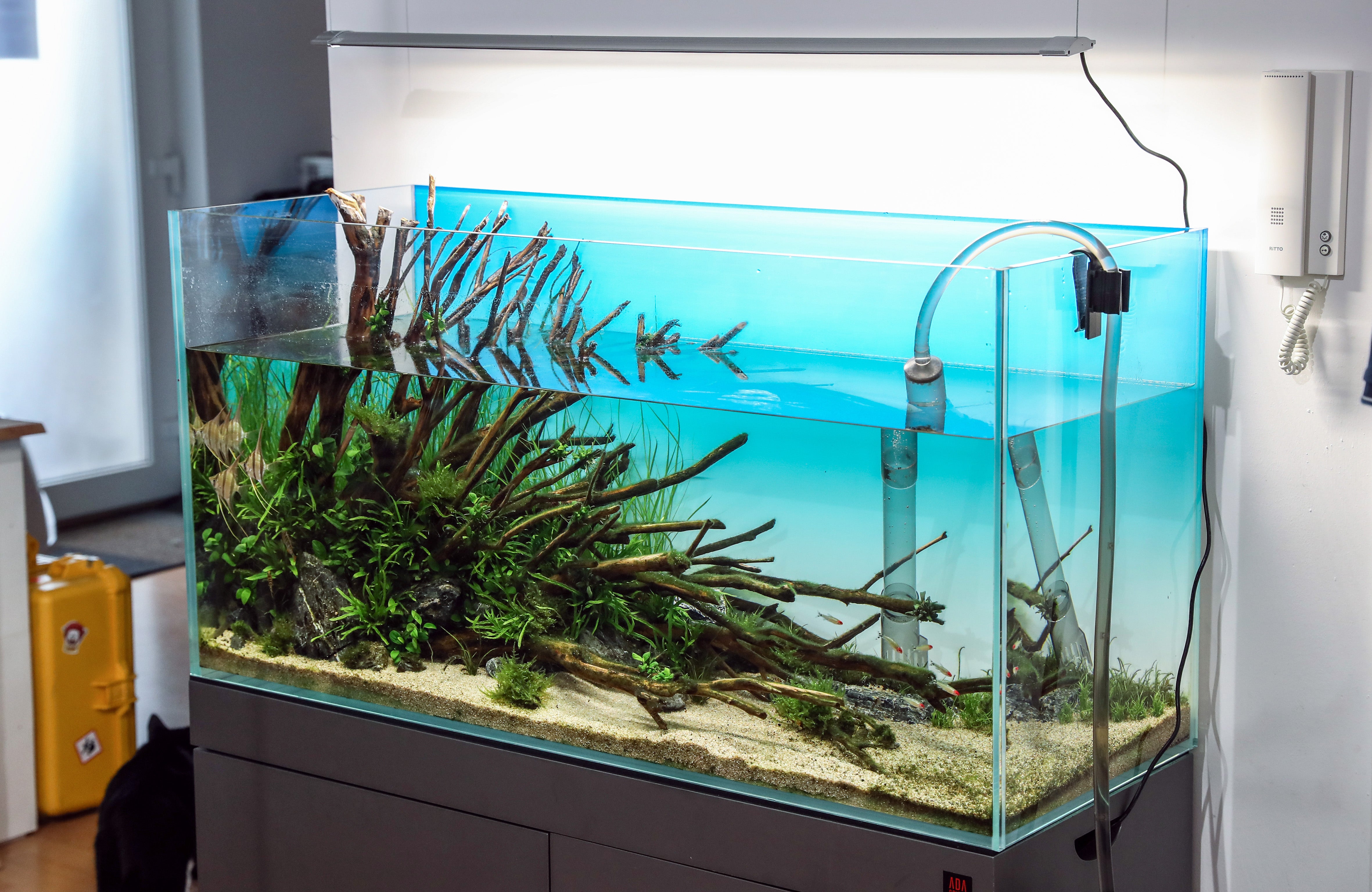 Aquarium-Luftsprudler, Farbwechsel-Luftblase unter Wasser