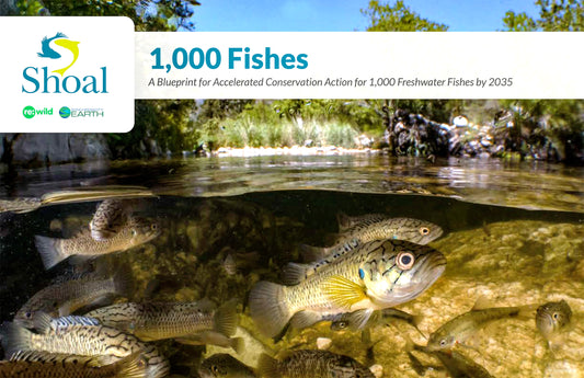 Blaupause für 1.000 Fische und Lebensräume