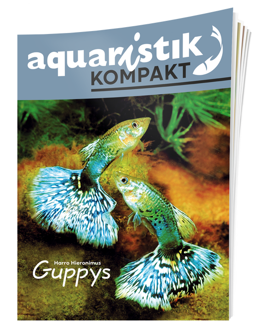Extraheft zum Guppy