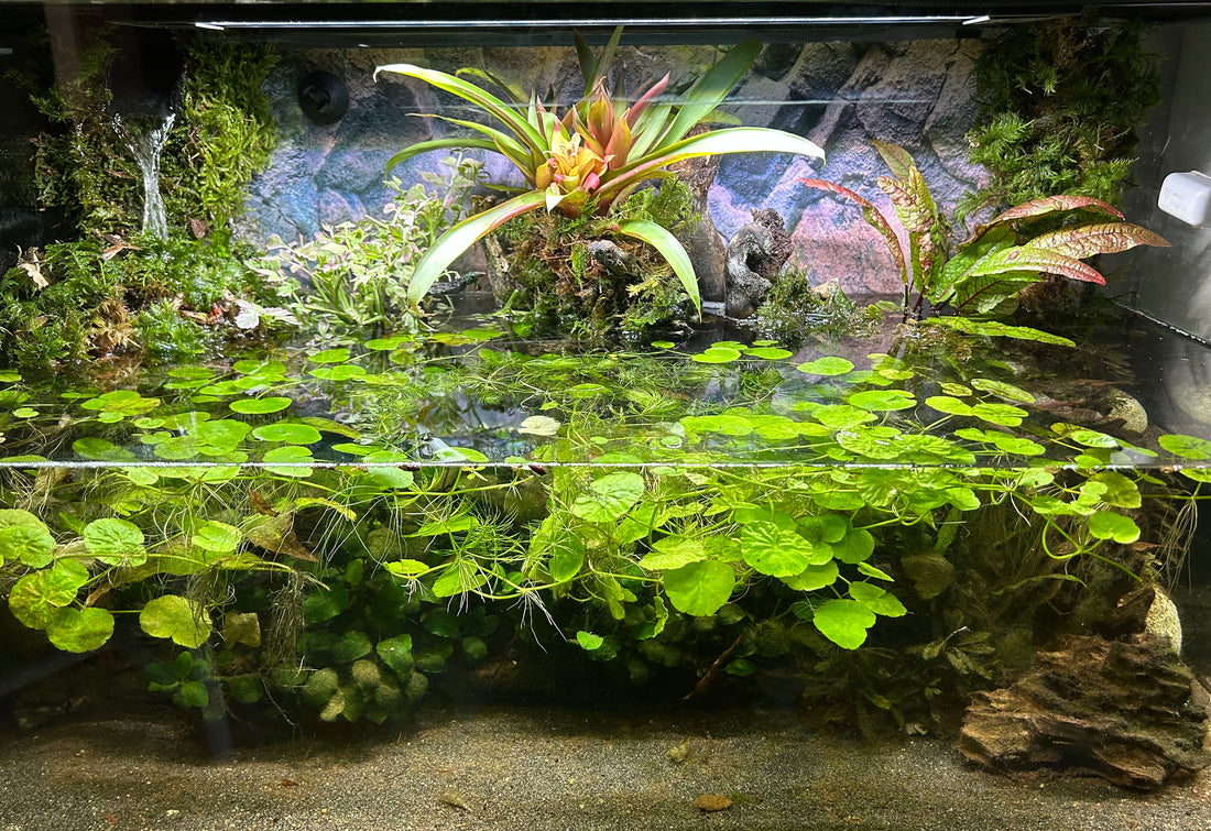 Leser-Aquarium September 2024