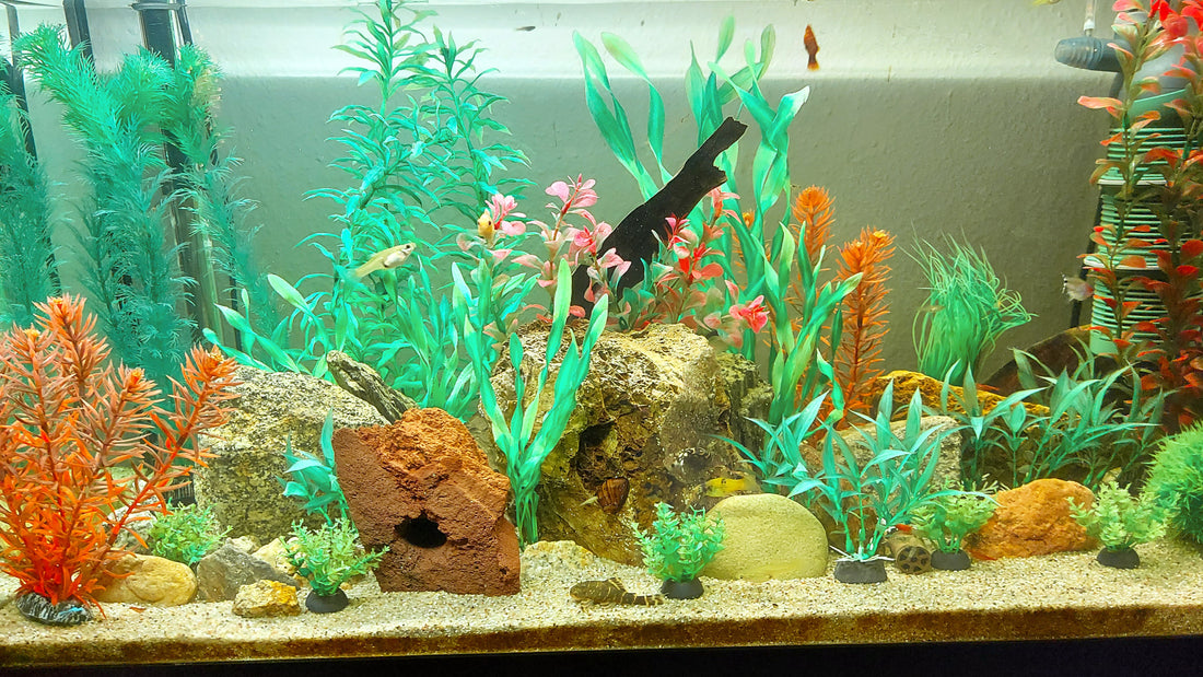 Leser-Aquarium März 2025