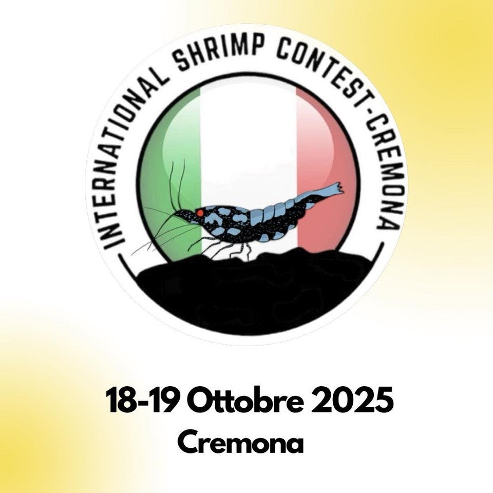 International Shrimp Contest in Italien abgesagt