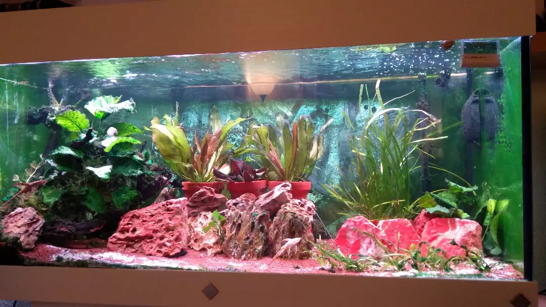 Leser-Aquarium Oktober 2025