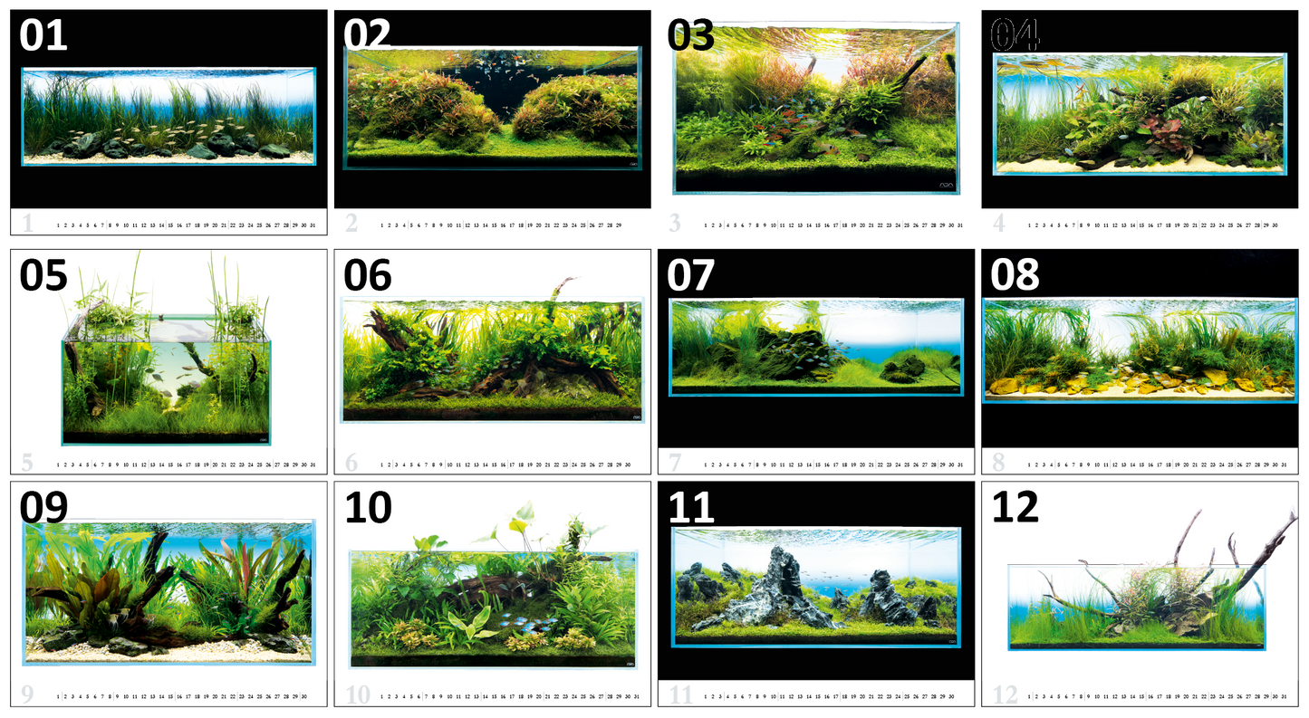 Amanos Naturaquarien 2024 Stammkundenpreis