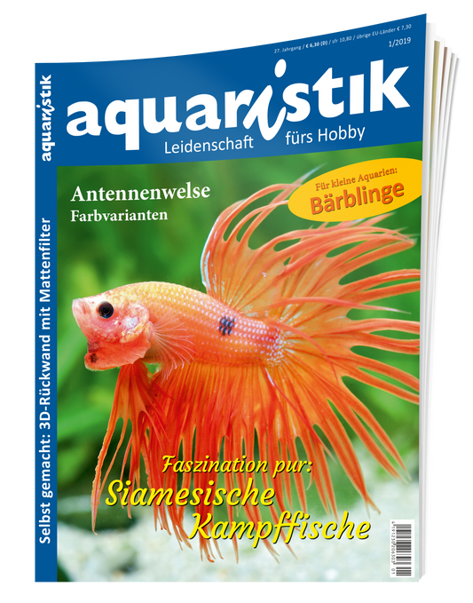 aquaristik 1/2019