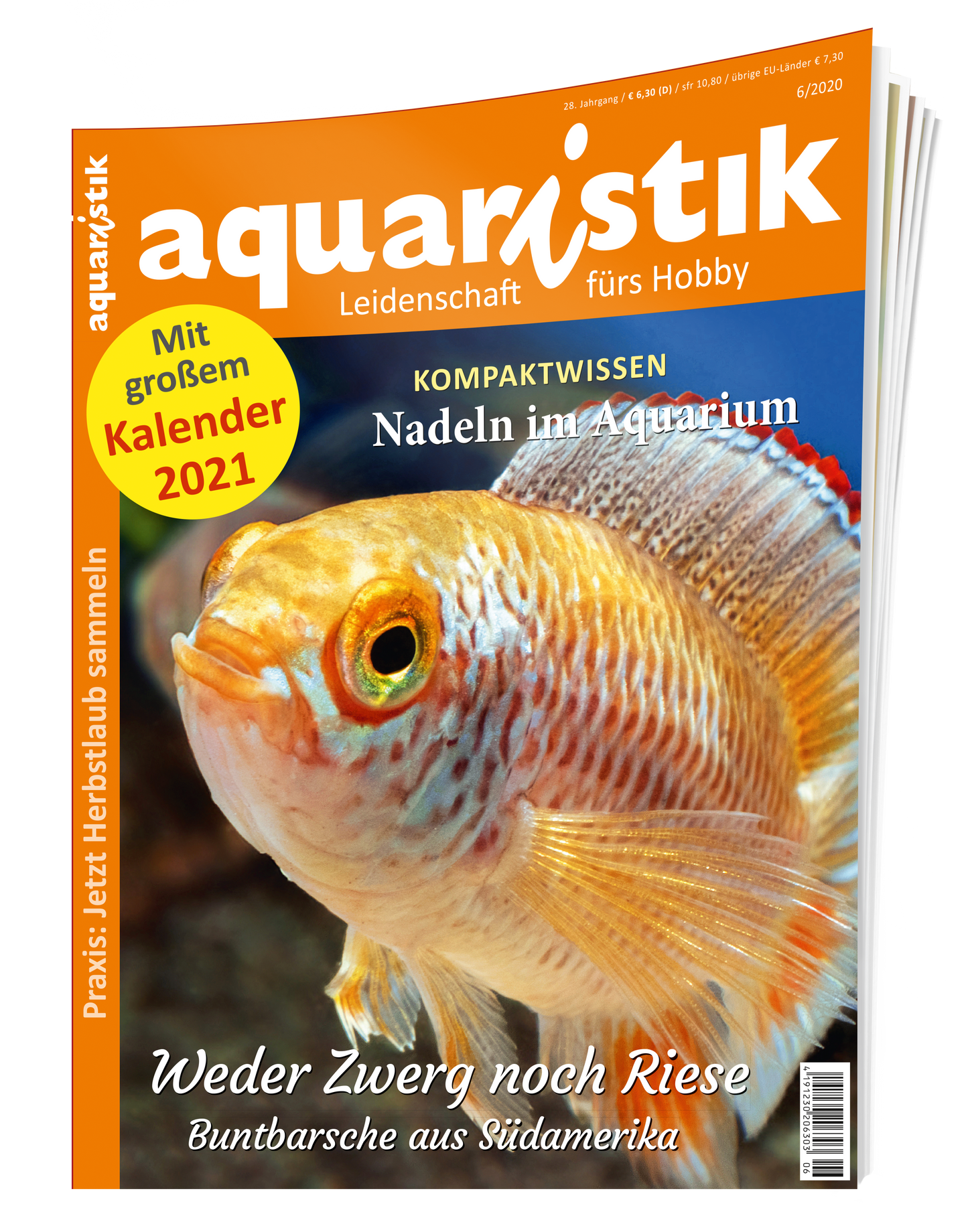 2020/6 aquaristik