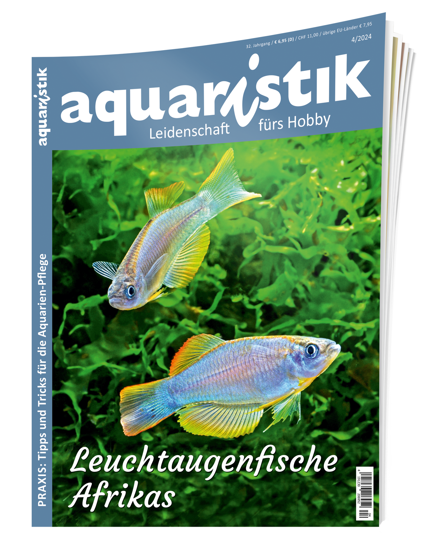 2024/4 aquaristik