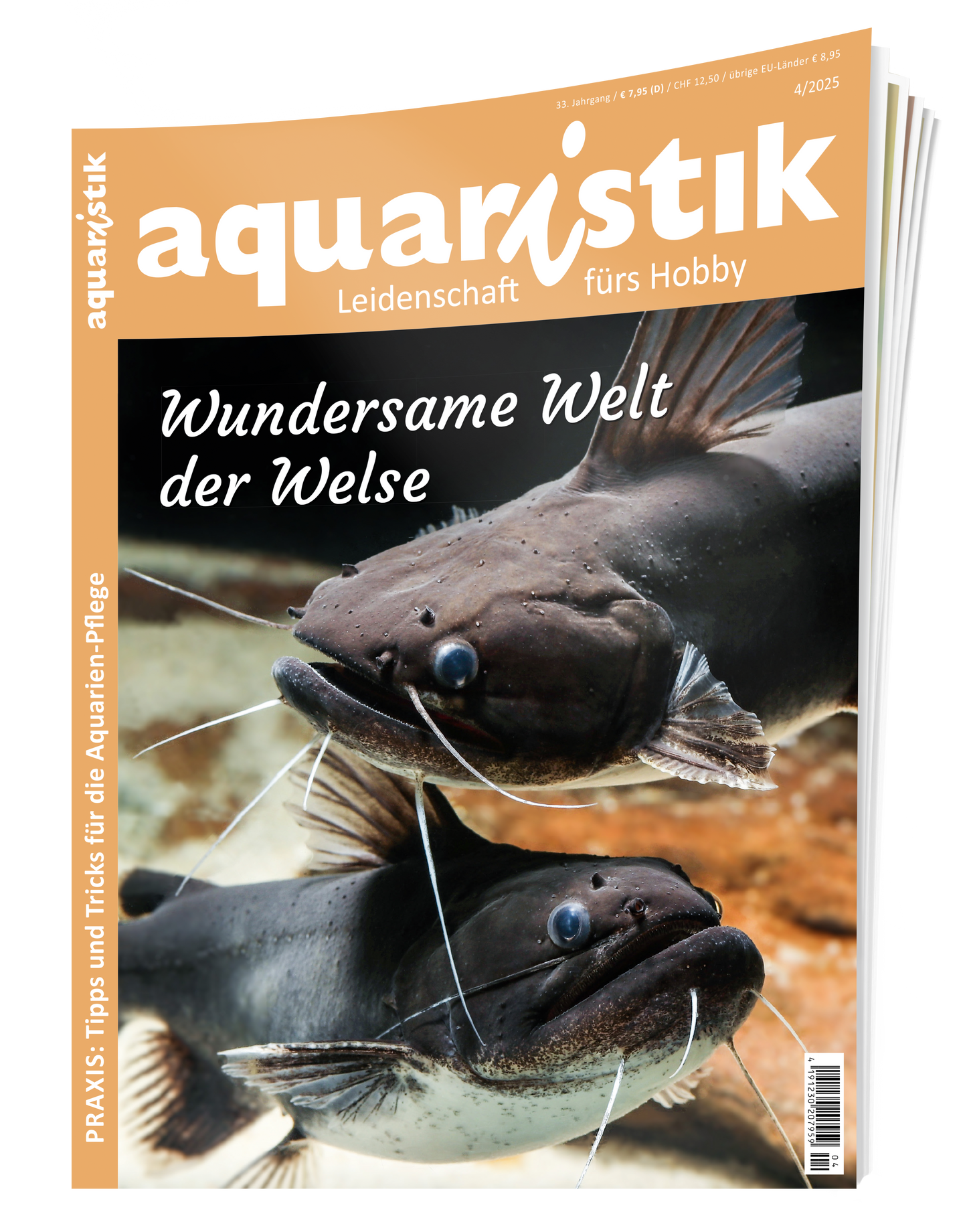 2025/4 aquaristik
