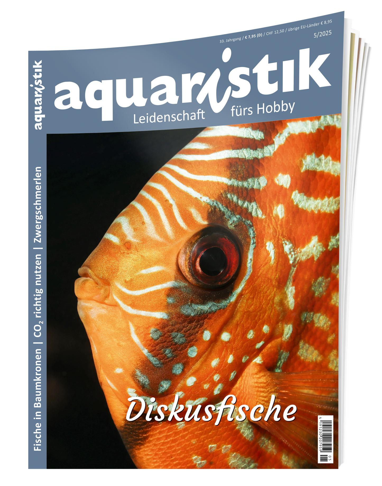 2025/5 aquaristik