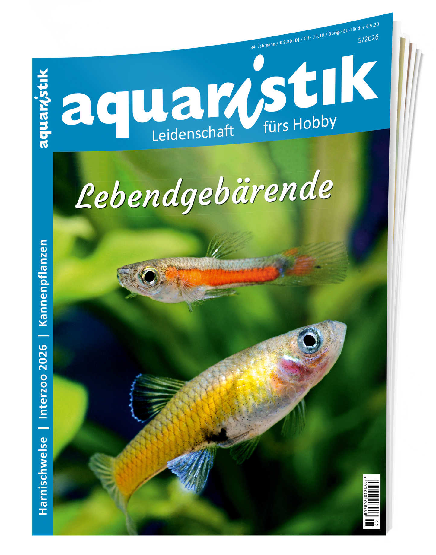 2026/5 aquaristik
