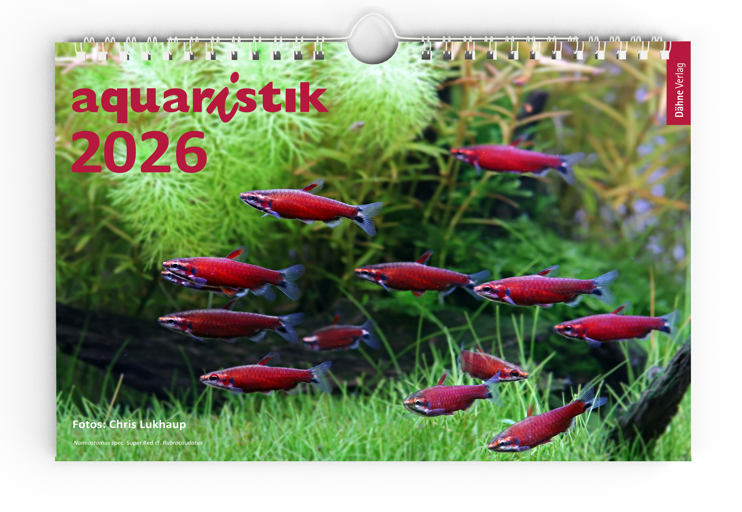 aquaristik Kalender 2026 Stammkundenpreis