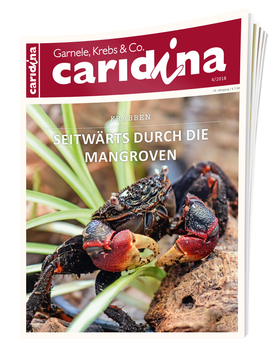 caridina Ausgabe 4/2018
