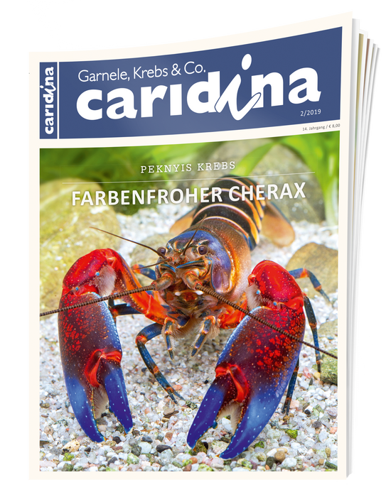 caridina Ausgabe 2/2019