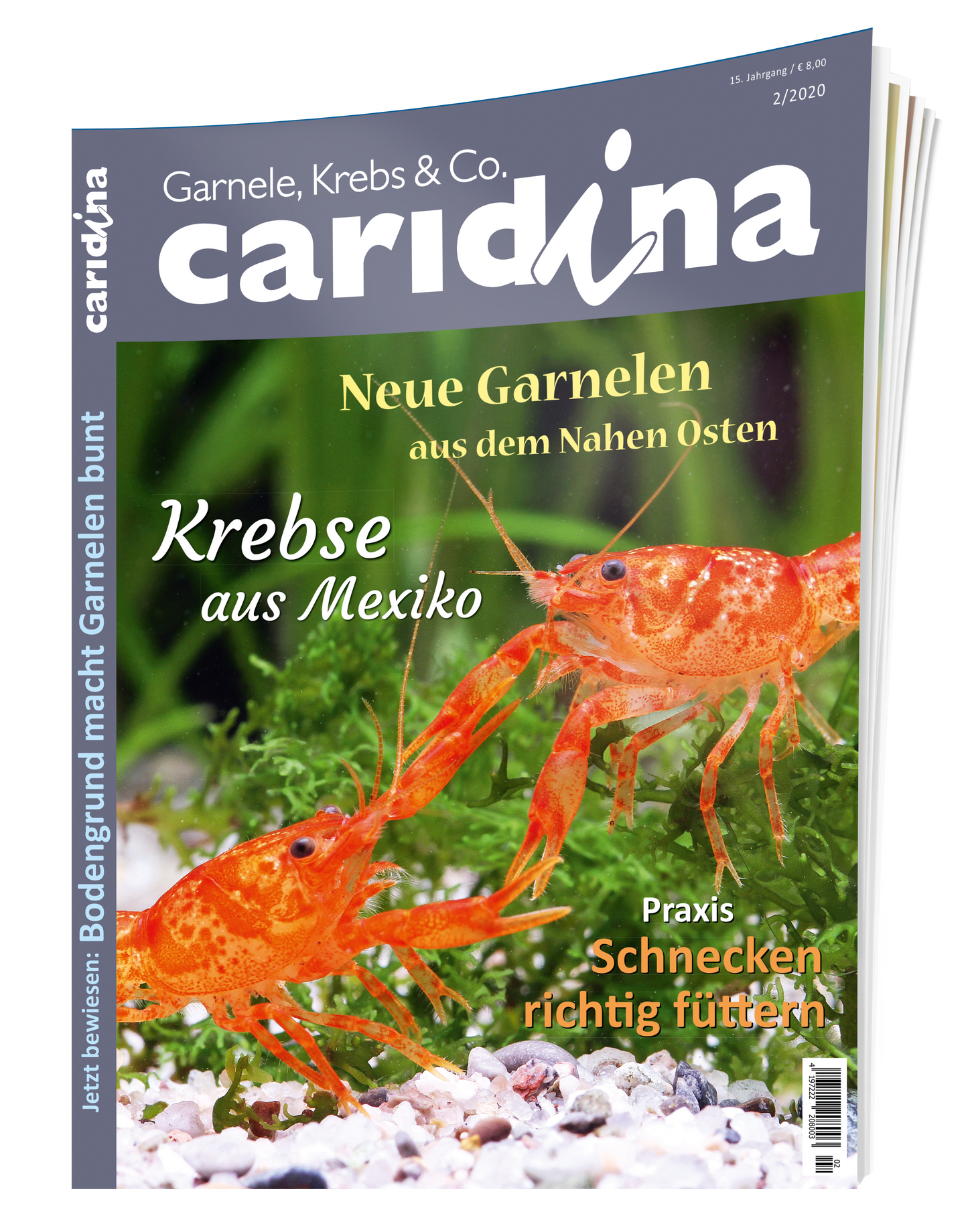 2020/2 caridina
