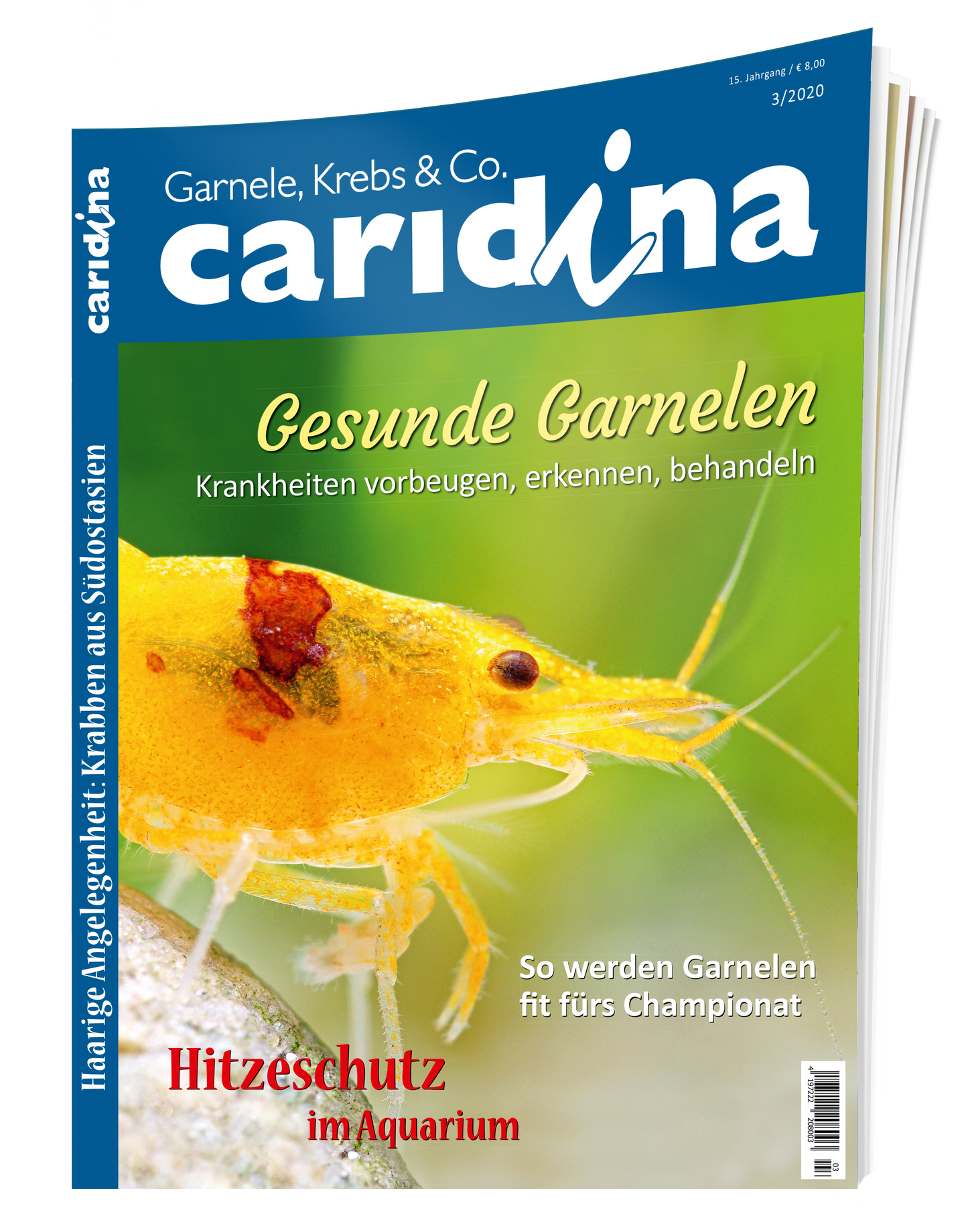 2020/3 caridina