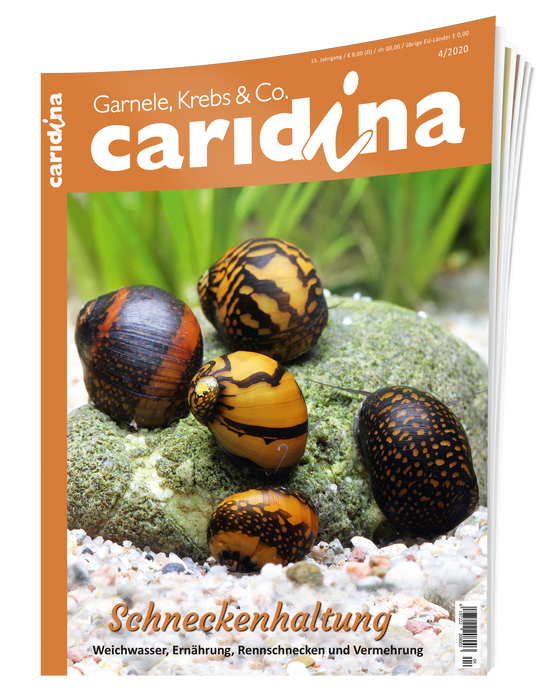 caridina Ausgabe 4/2020