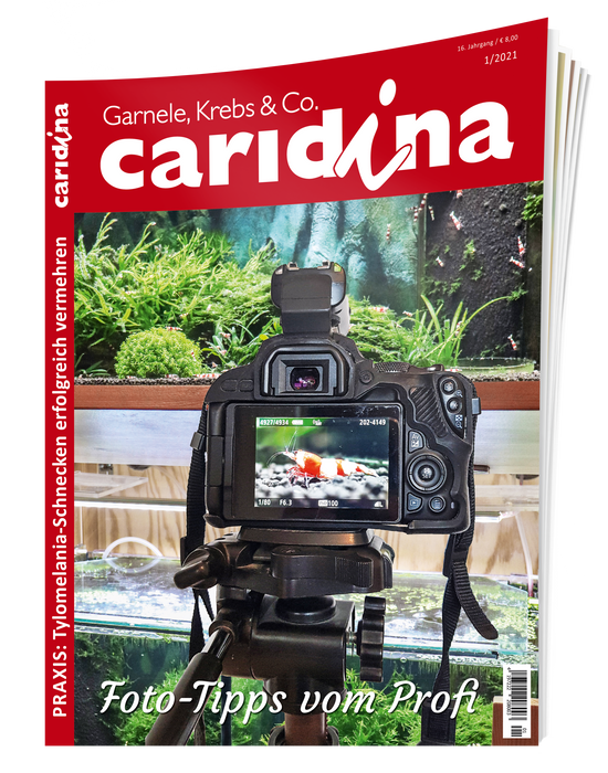 caridina Ausgabe 1/2021