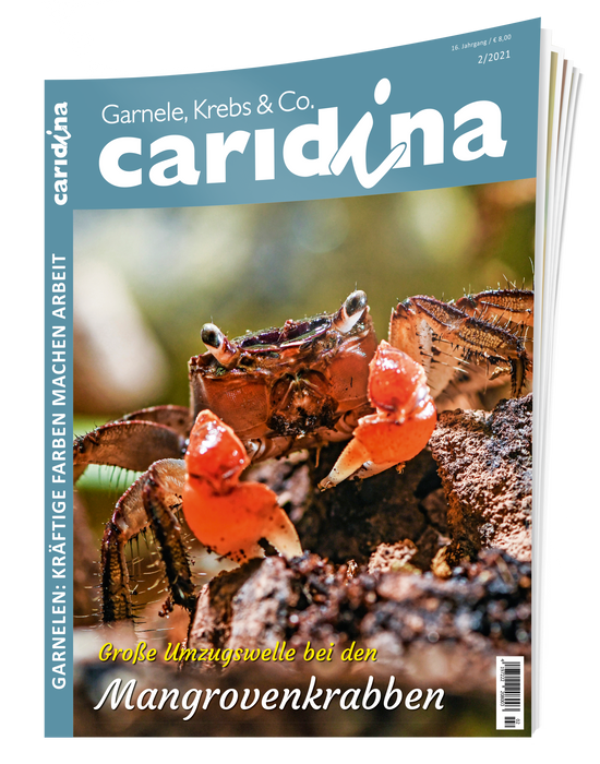 caridina Ausgabe 2/2021