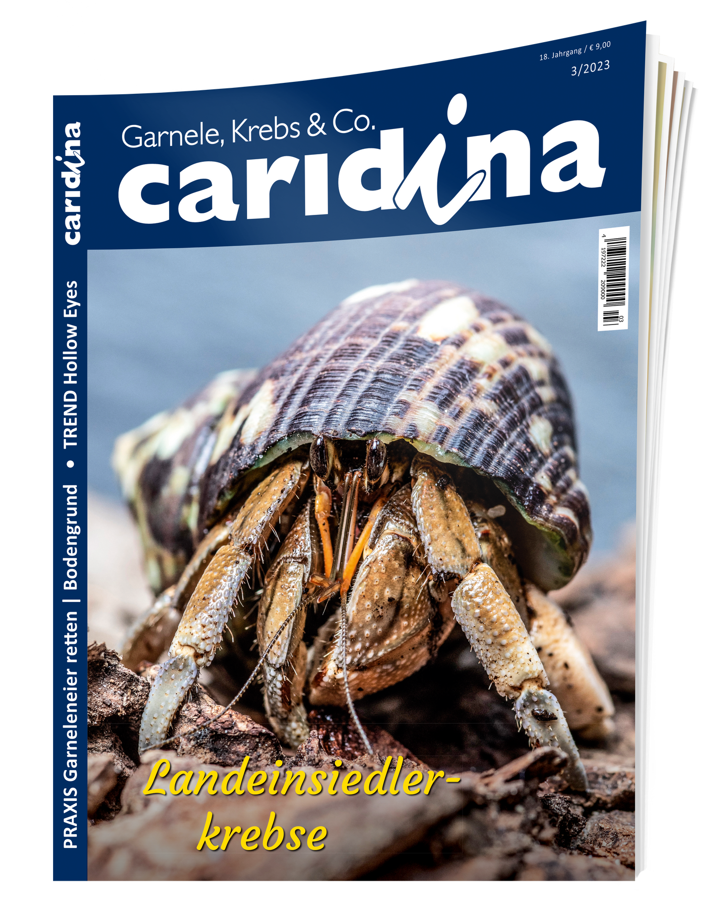 2023/3 caridina