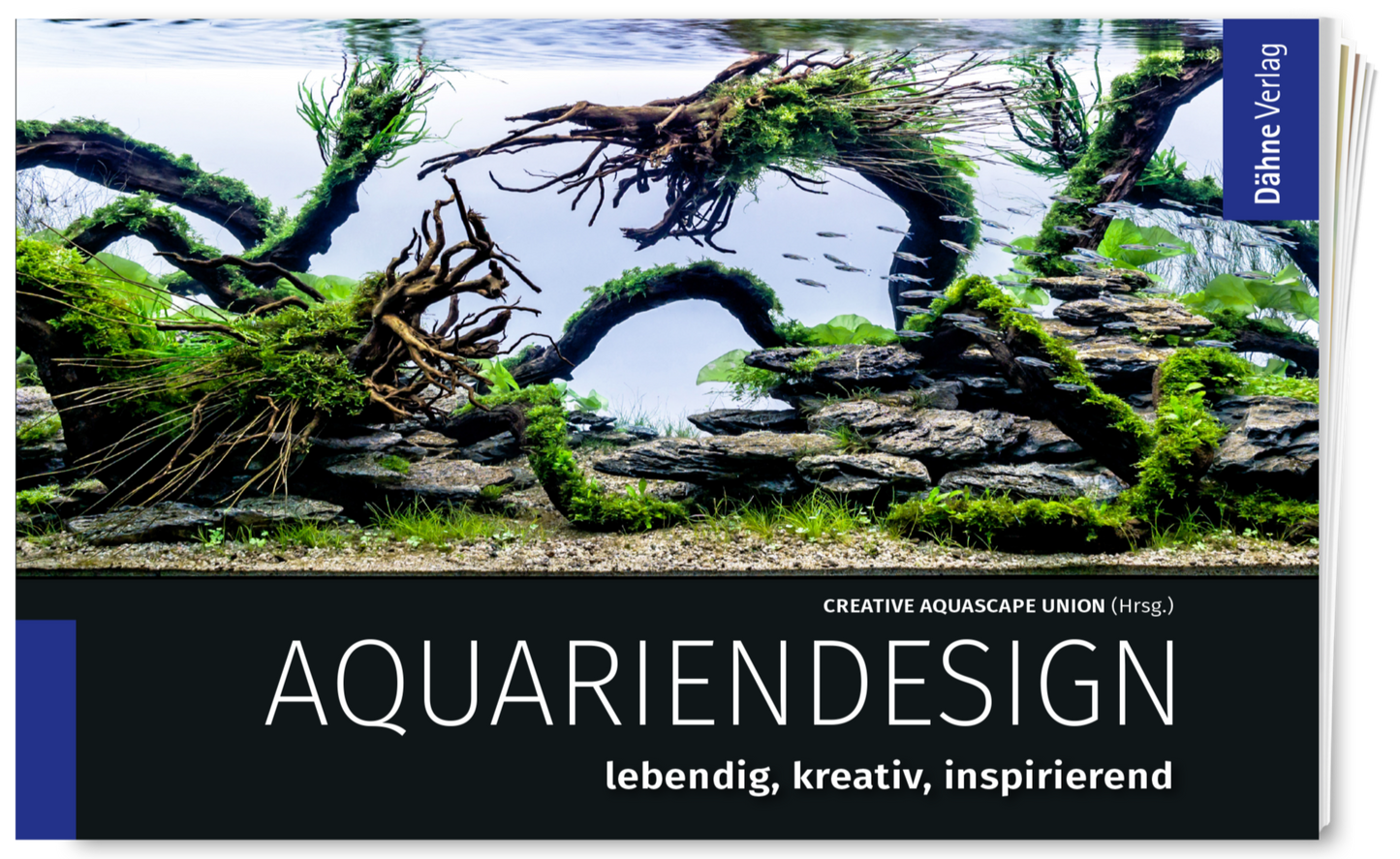 Aquariendesign