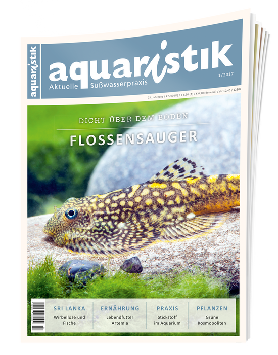 aquaristik Ausgabe 1/2017