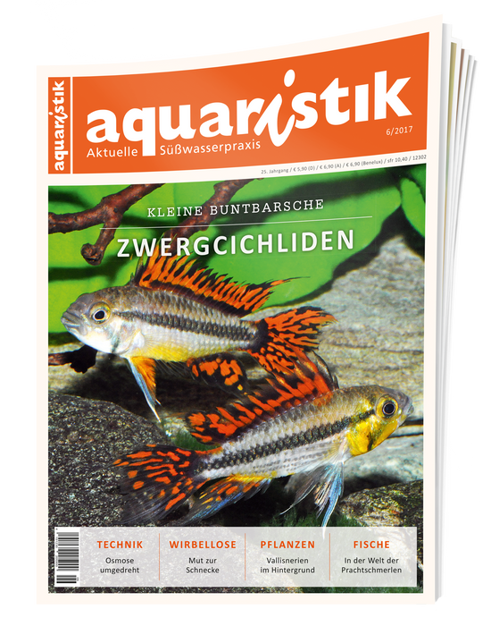 aquaristik Ausgabe 6/2017