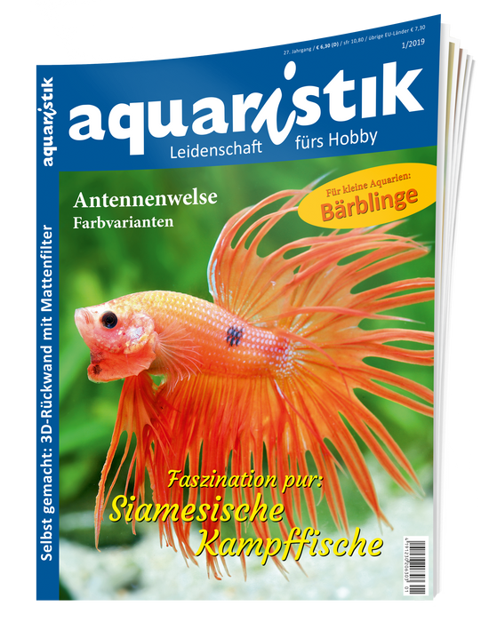 aquaristik Ausgabe 1/2019