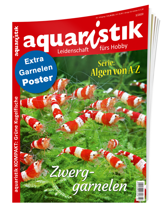aquaristik Ausgabe 3/2020