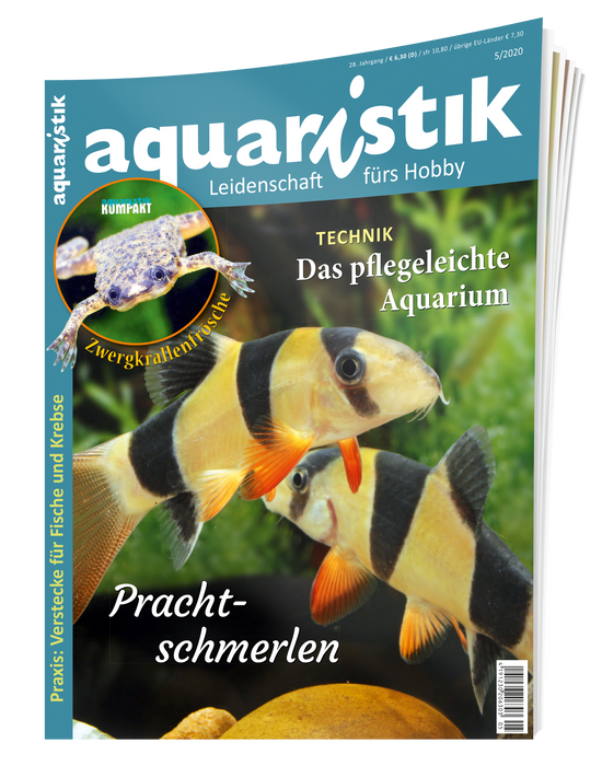 aquaristik Ausgabe 5/2020