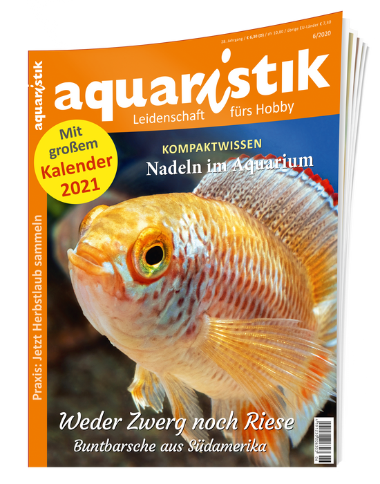 aquaristik Ausgabe 6/2020