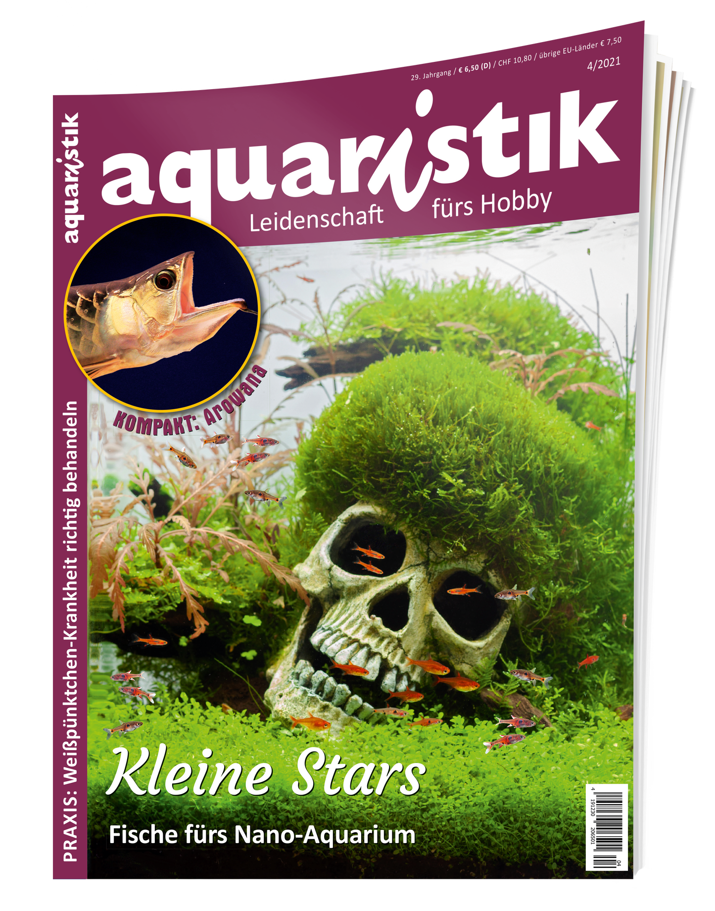 2021/4 aquaristik
