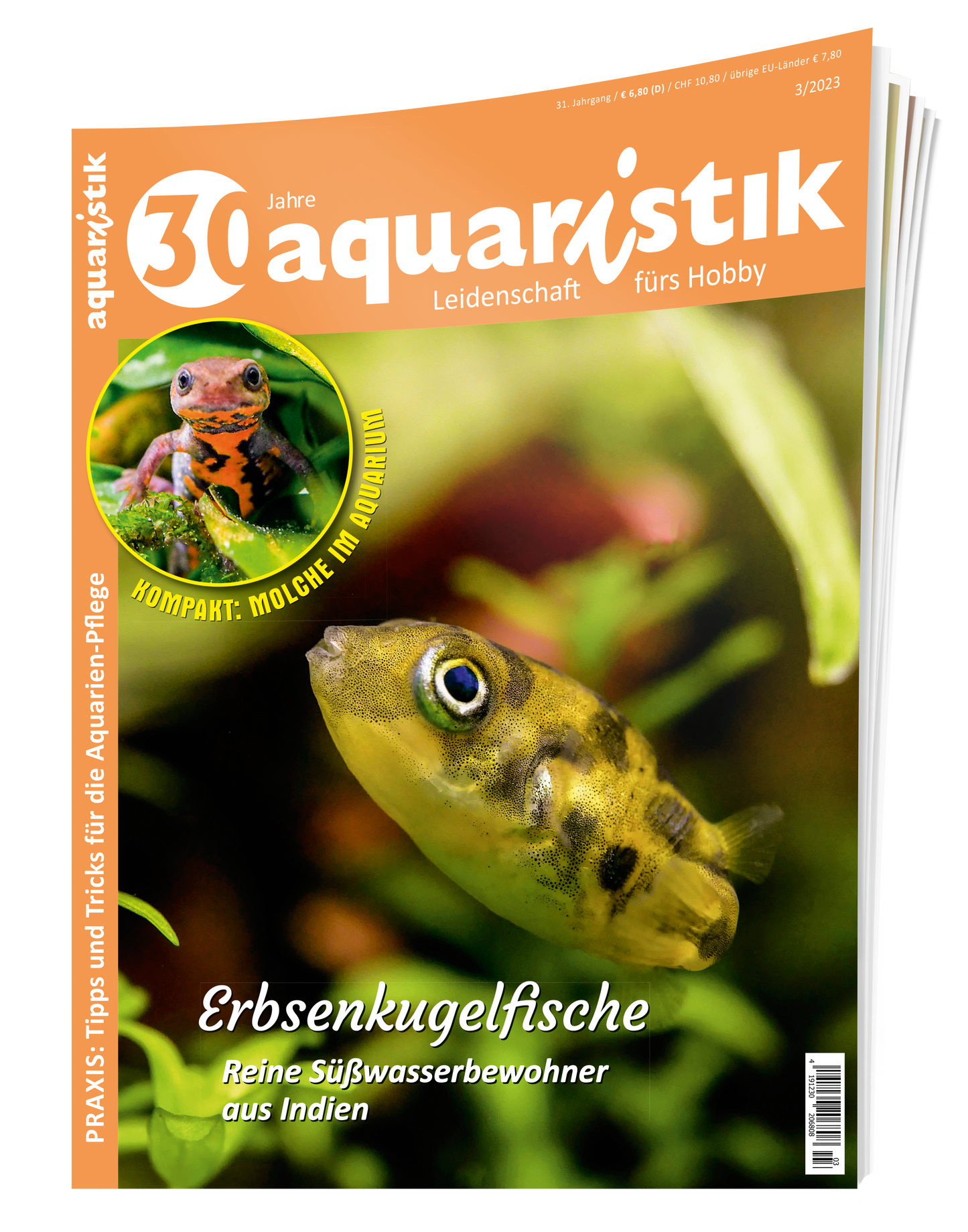 2023/3 aquaristik