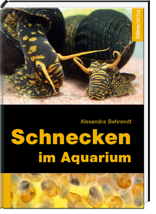 Schnecken im Aquarium