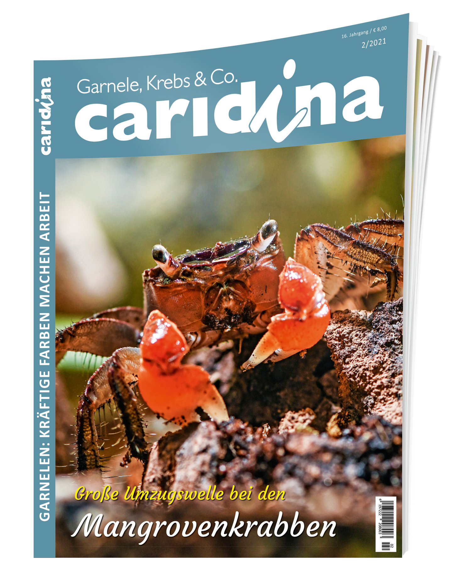 2021/2 caridina