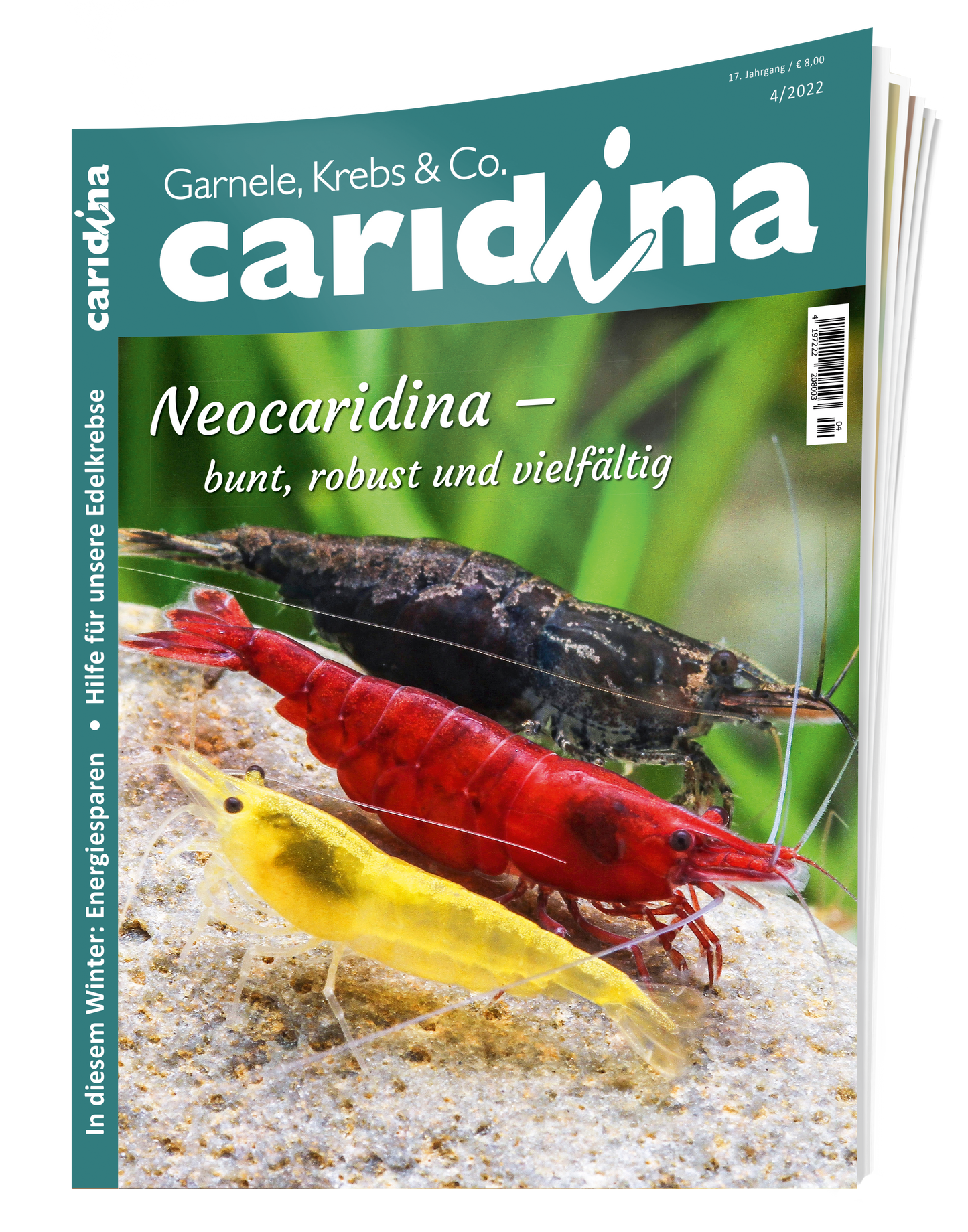 2022/4 caridina