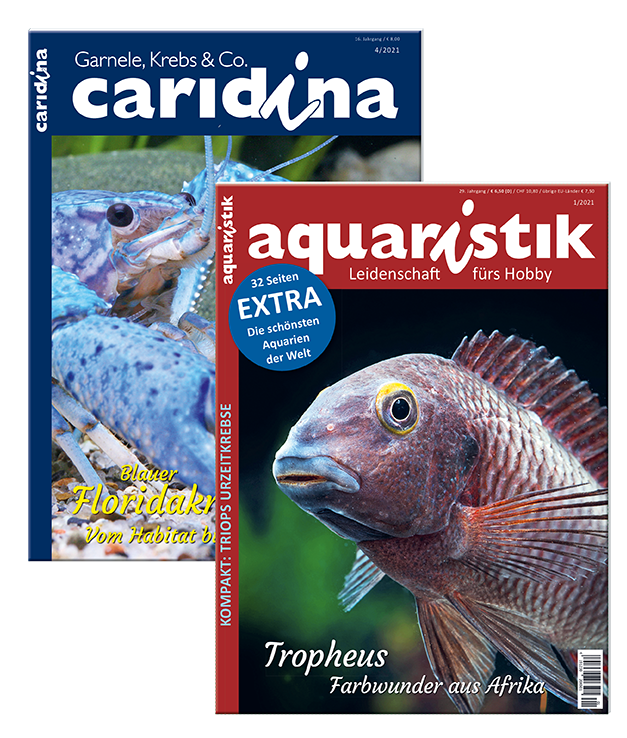 Kombi-Abo aquaristik & caridina