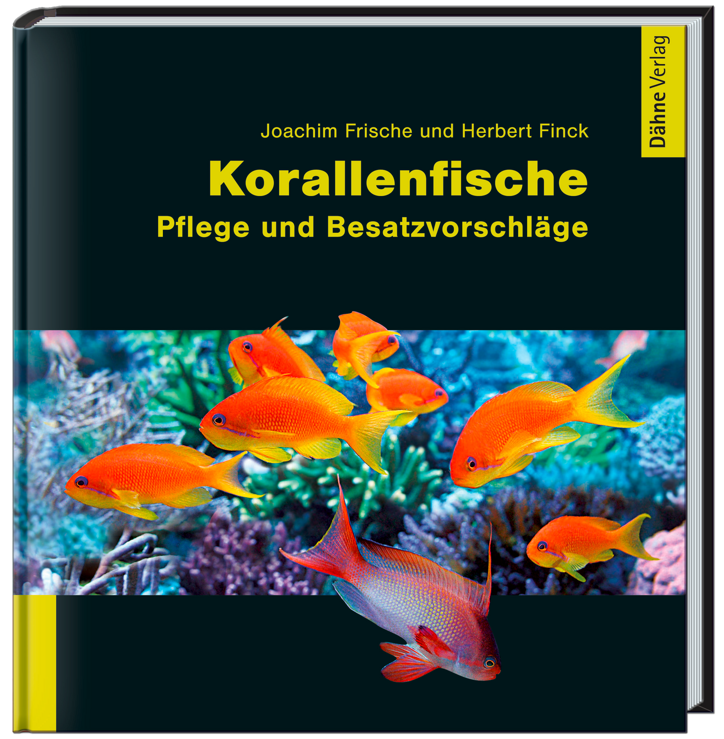Korallenfische