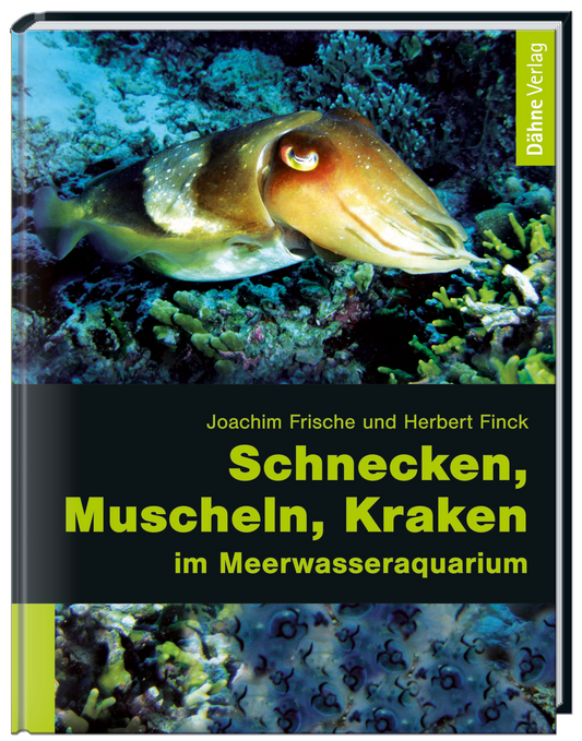Schnecken, Muscheln, Kraken im Meerwasseraquarium