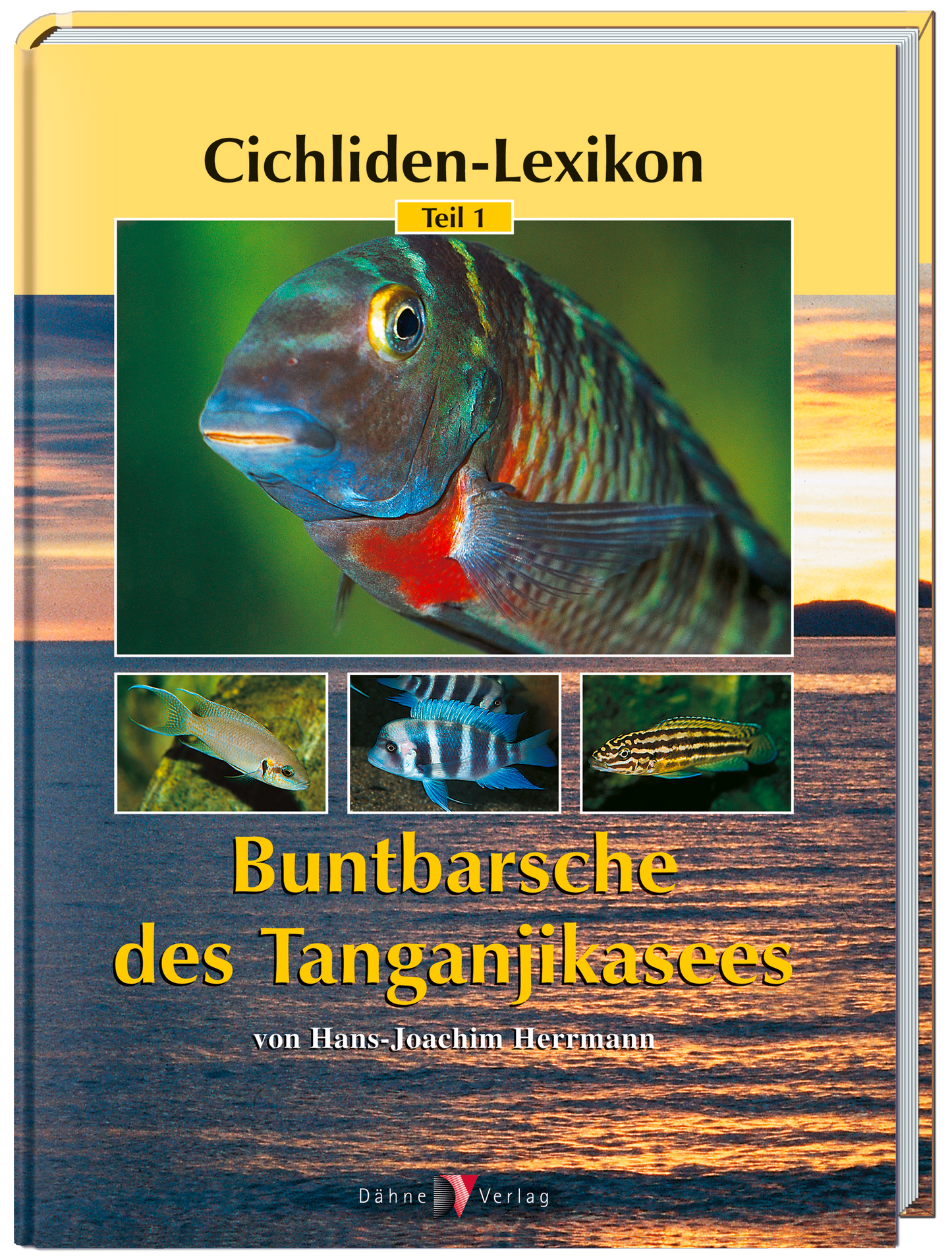 Buntbarsche des Tanganjikasees