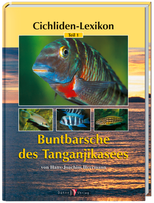 Buntbarsche des Tanganjikasees