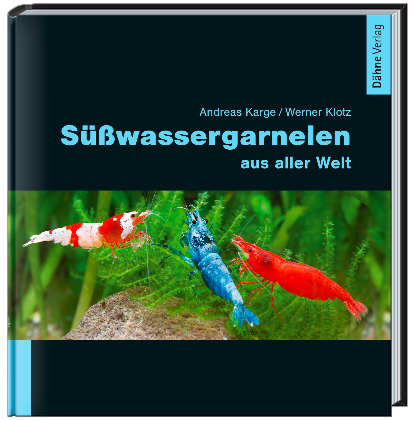 Süßwassergarnelen aus aller Welt