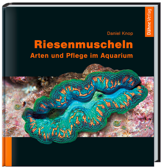 Riesenmuscheln