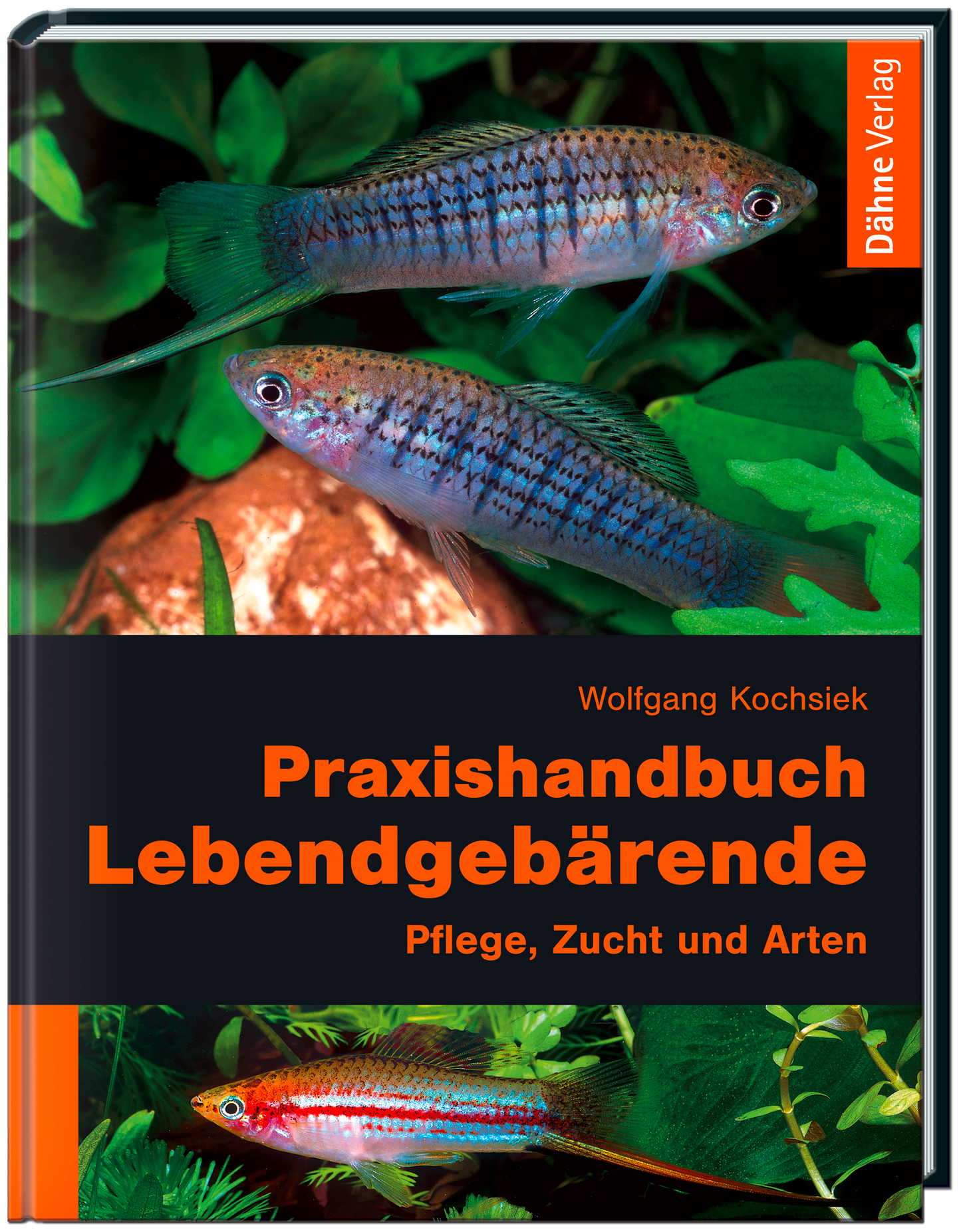 Praxishandbuch Lebendgebärende