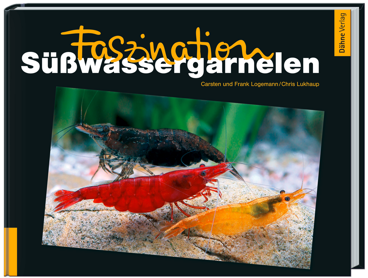 Faszination Süßwassergarnelen