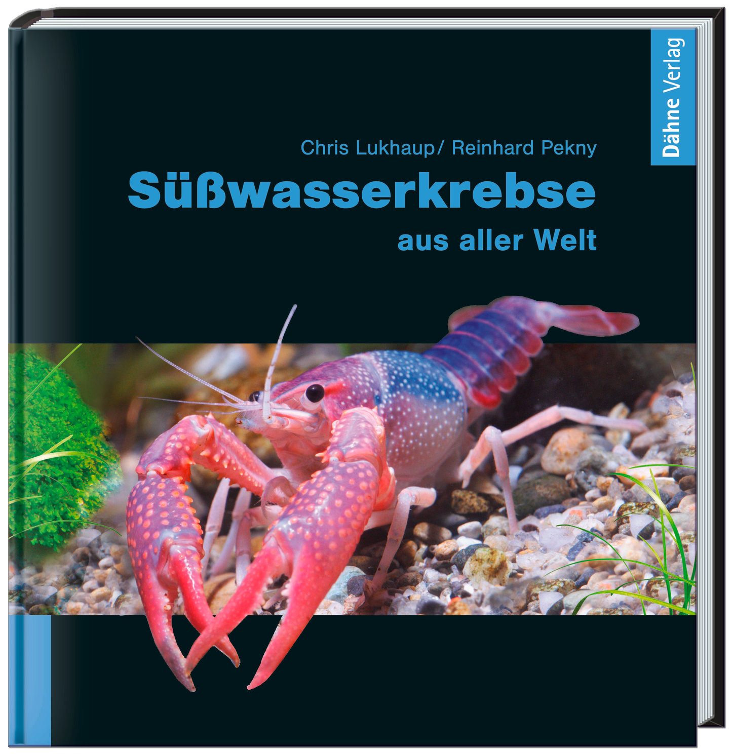 Süßwasserkrebse aus aller Welt