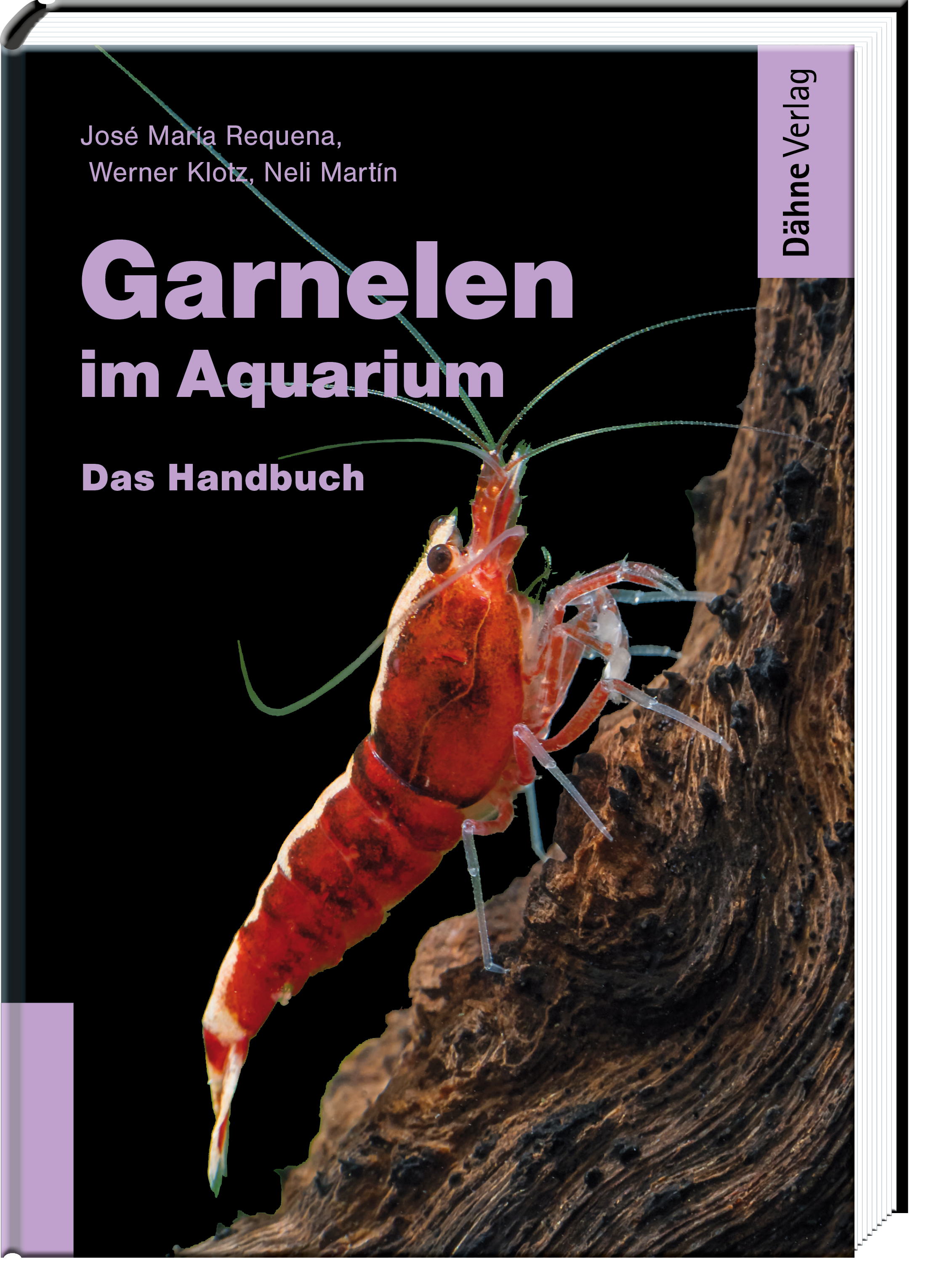 Garnelen im Aquarium – Dähne Aquaristik