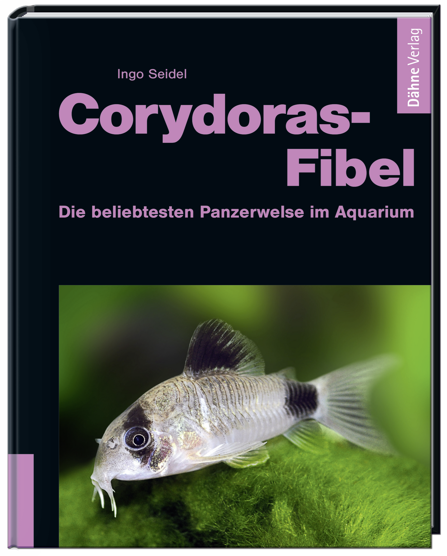 Corydoras-Fibel