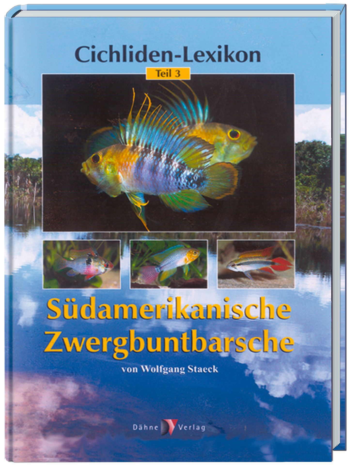 Südamerikanische Zwergbuntbarsche