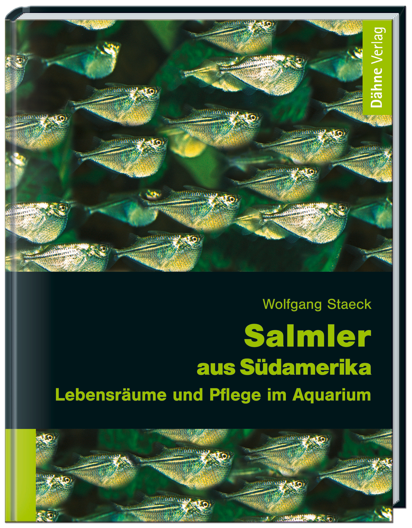 Salmler aus Südamerika